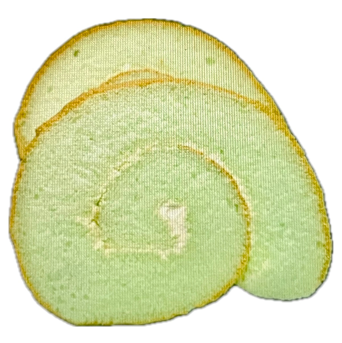 CH Pandan Swiss Roll 香葉蛋巻（2件裝) 2pc.