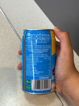 Tropical Sun Coconut Water Drink with Pieces 330ml | Asian Grocery UK