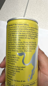 Red Bull Summer Edition Citrus Zest Energy Drink 250ml | Asian Grocery UK