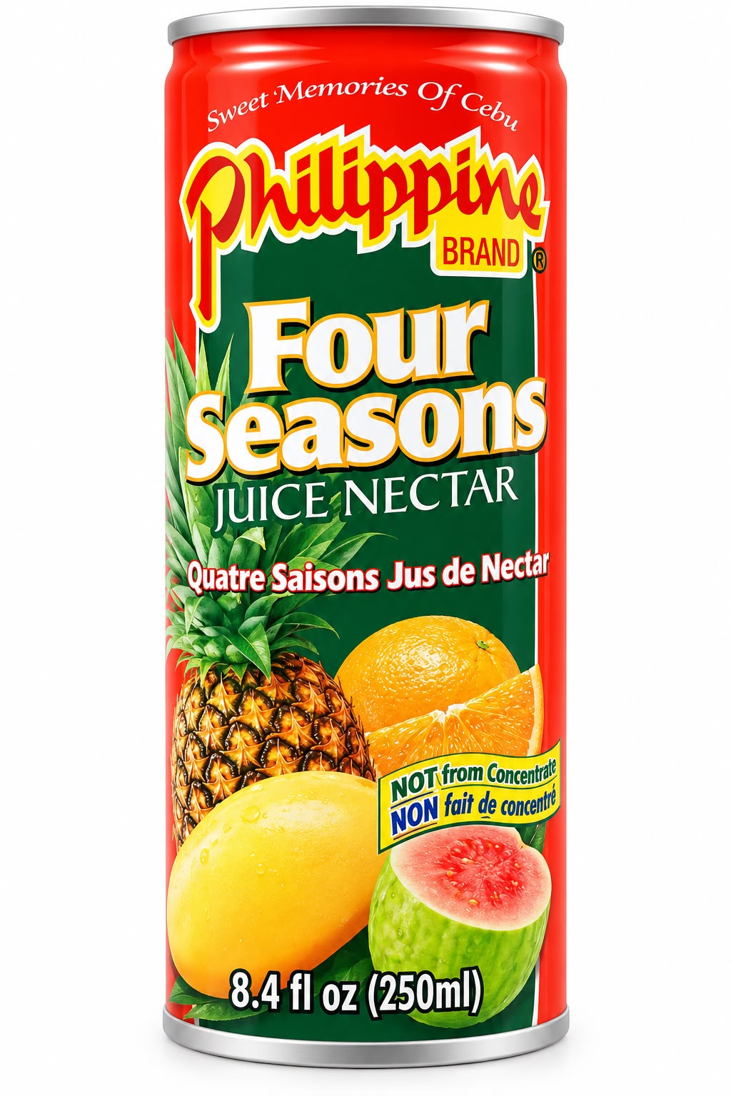 Philippine Brand Four Seasons Juice Nectar 250ml front of can | Asian Grocery UK