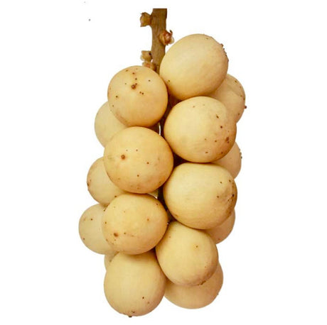 AOS Fruit - Lansones 500g - Asian Online Superstore UK