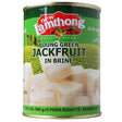 New Lamthong Young Green Jackfruit in Brine 565g - Asian Online Superstore UK